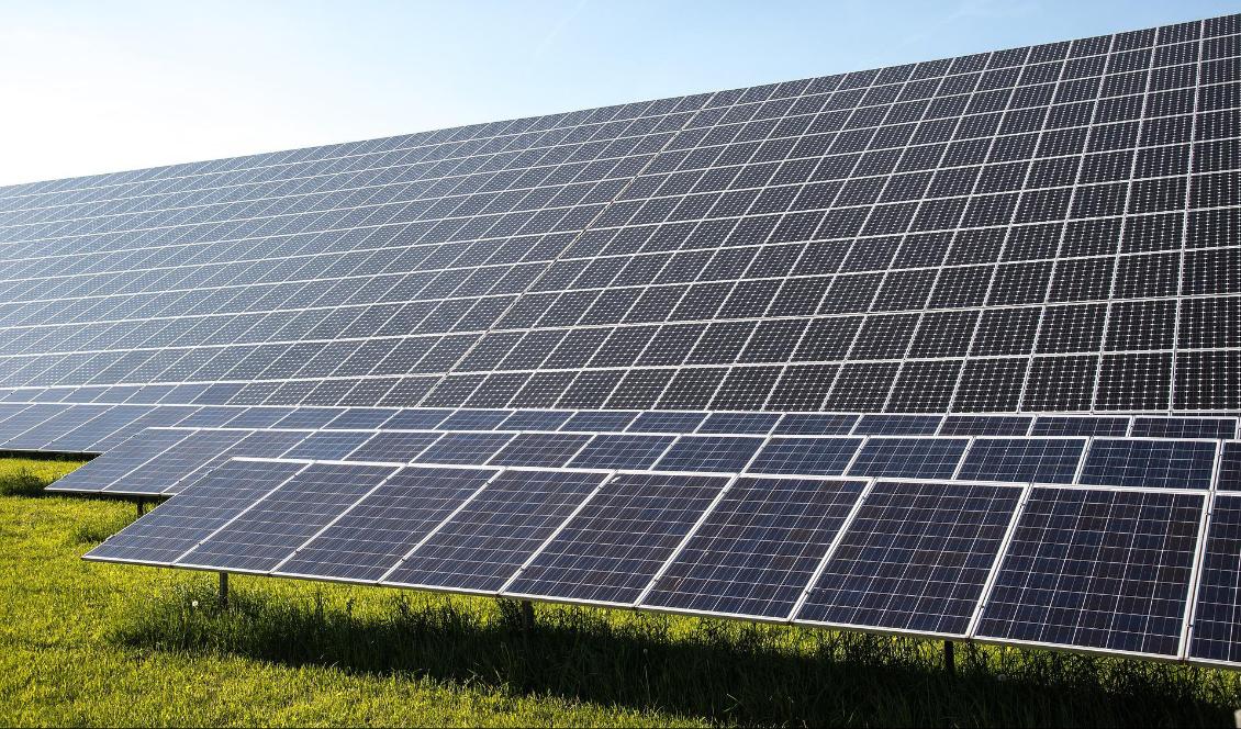 Det finländska energibolaget Äskya Ilmatar har planer på att bygga en av Sveriges största solcellsparker utanför Älmhult i Småland. Foto: Michael Schwarzenberger