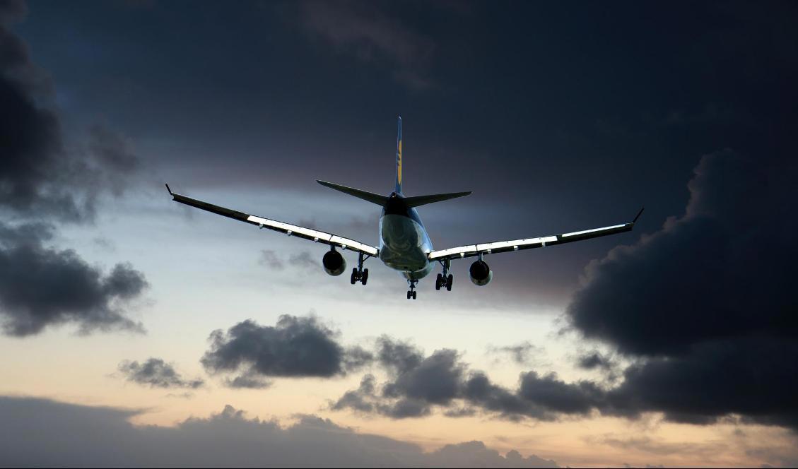 Flygresandet fortsätter att återhämta sig. Foto: Rene Rauchenberger
