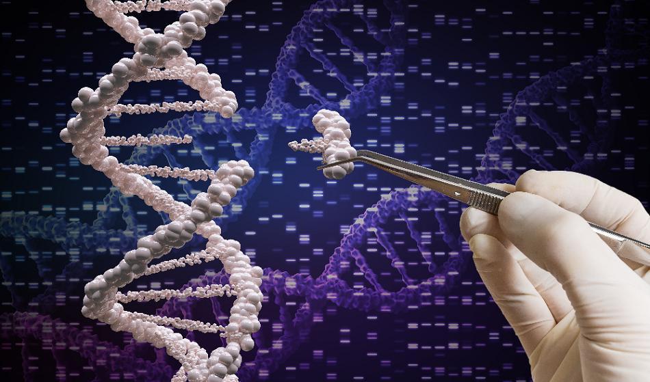 Kommer vi i framtiden att ha som syfte eugenetik eugenetik (rasbiologi) i termer i stil med ”genetisk modifiering”? Vetenskapen närmar sig redan dessa domäner, genom framsteg inom kloning och selektiv embryologi.Foto: Shutterstock