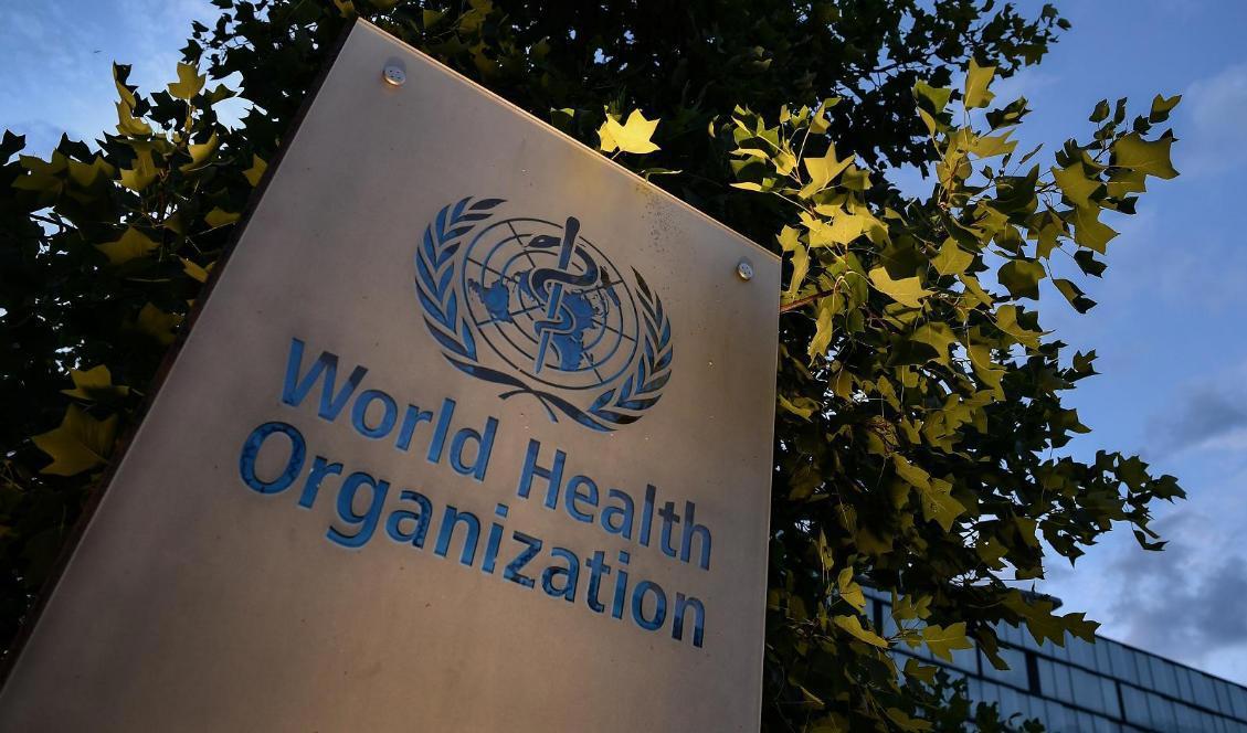 
WHO rekommenderar att benämningen för sjukdomen apkoppor byts ut. Foto: Fabrice Coffrini/AFP via Getty Images                                            