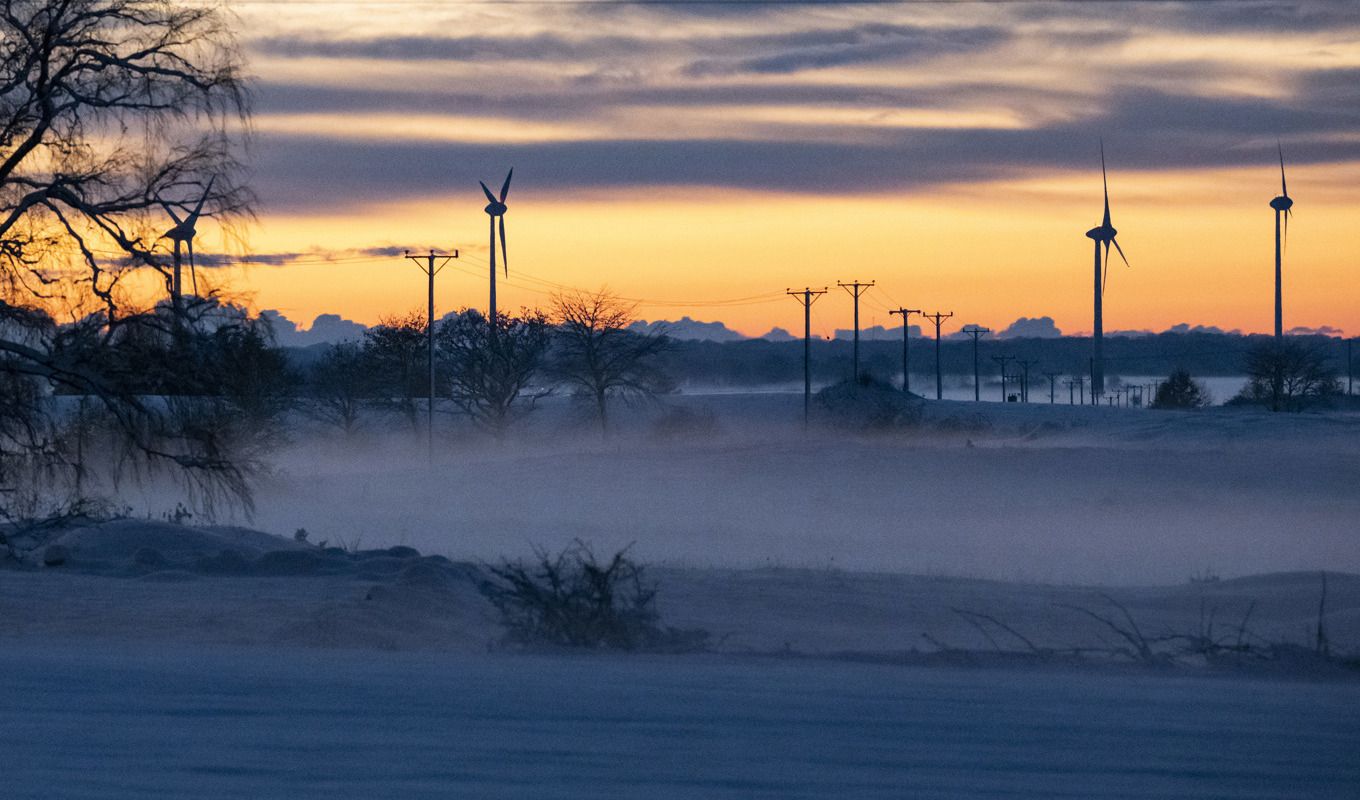 Fungerar det med vindkraft för att täcka framtidens elbehov? Arkivbild. Foto: Johan Nilsson/TT
