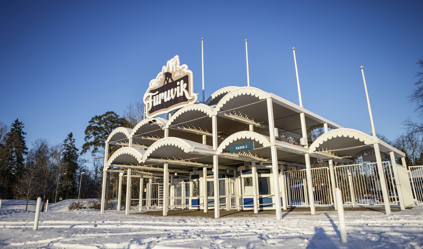 Flera schimpanser rymde från Furuviksparken tidigare i december. Arkivbild. Foto: Christine Olsson/TT
