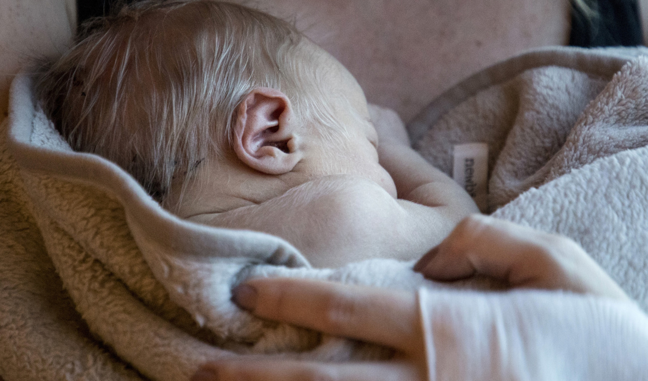 2022 blev ett nytt rekordår för antalet utsatta barn i Danmark som adopterades bort med tvång. Arkivbild Foto: Christine Olsson/TT