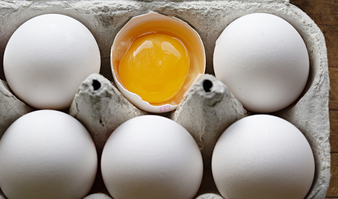 Ägg återkallades i början av januari. Arkivbild. Foto: Martina Holmberg / TT