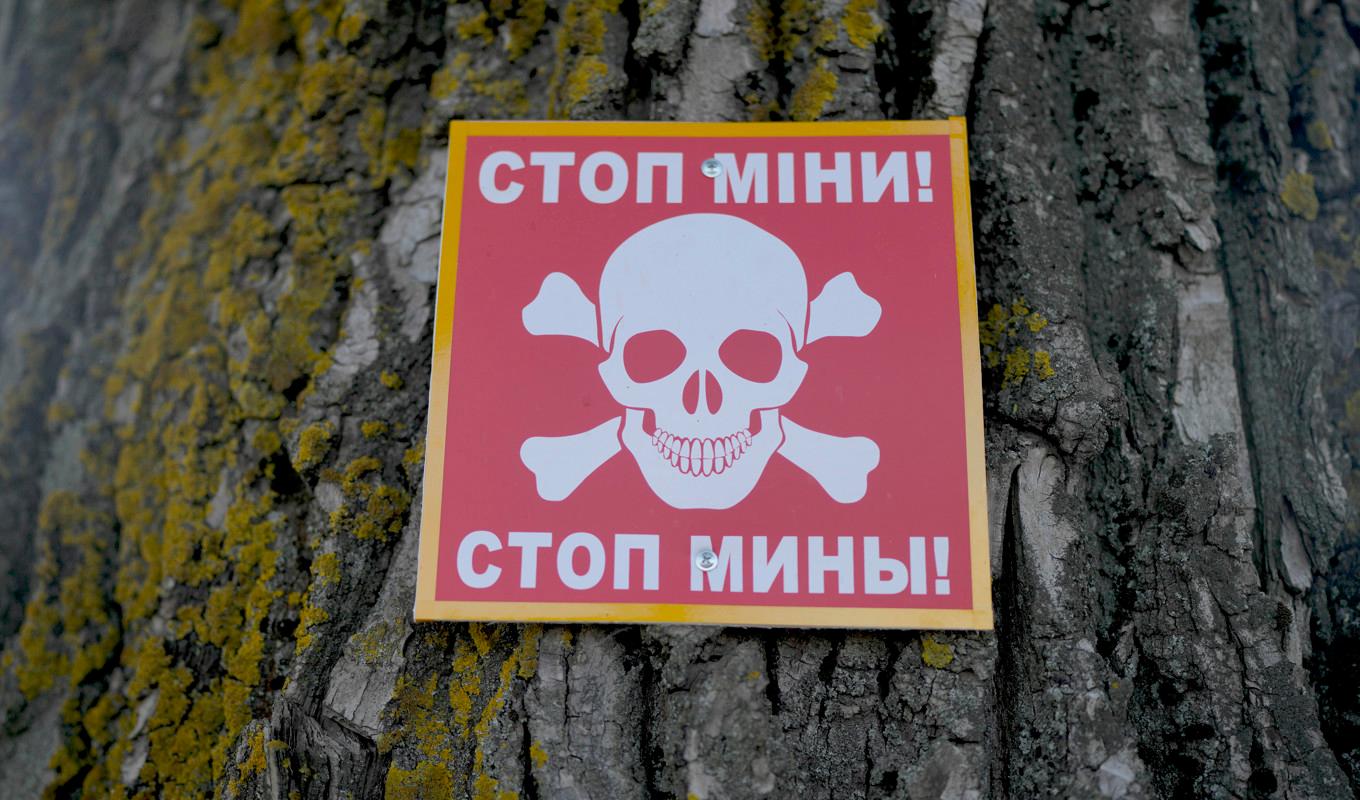 En varningsskylt för att det kan finnas landminor i området. Bilden är från ett område nära Ukrainas huvudstad Kiev i juni förra året. Foto: Natacha Pisarenko/AP/TT