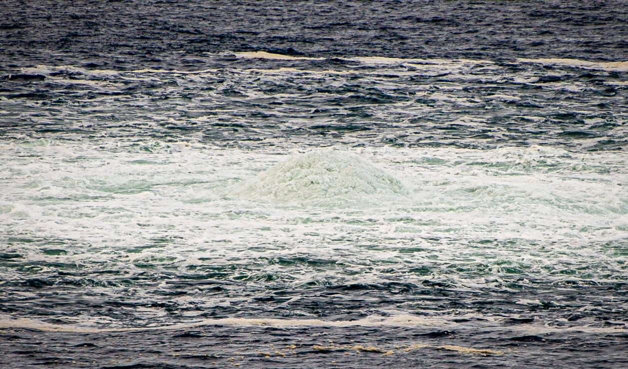 Stora mängder gas bubblade ut i havet efter att Nord Stream 2 skadats av en explosion i september. Arkivbild. Foto: Danska försvaret