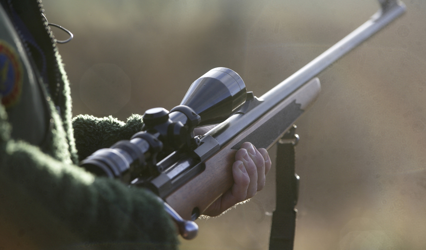 Den dömde mannen har enligt domen sålt älgkött värt minst 160 000 kronor till krogar. Arkivbild. Foto: Fredrik Sandberg/TT