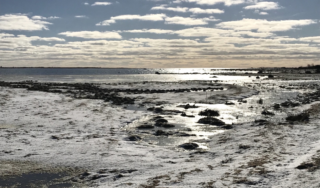 Det var några kalla dagar på östra Öland. Vi lärde känna varandra bra och så här i efterhand förstår jag hur värdefull vår resa var. Foto: Ida Fältander