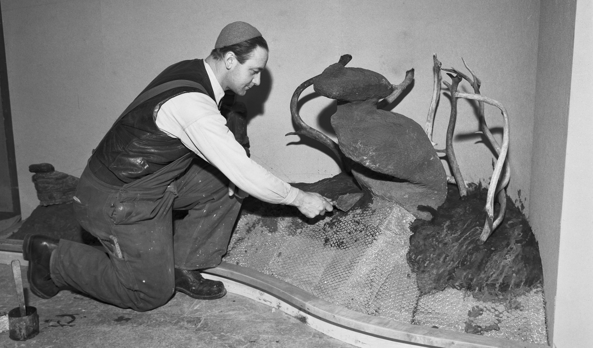 Sejten från Sieberbuollda är en av de sejter vars insamling tydligt har dokumenterats. Många andra sejters ursprung är dock fortfarande osäkert. Foto: Olof Ekberg, Nordiska museet