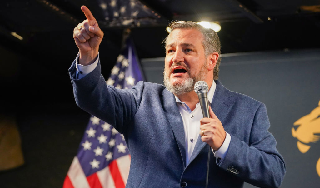 "Jag tror att det enda skälet till att de sköt ner den, var för att det hamnade i nyheterna", sade republikanernas Ted Cruz till Face the Nation på CBS, under söndagen. Foto: Kyle Rivas/Getty Images