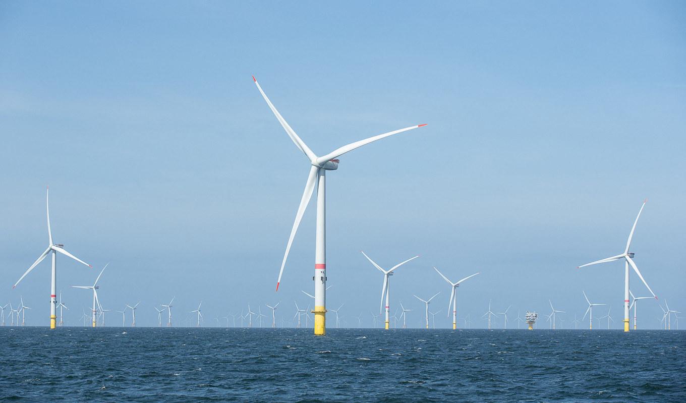Länsstyrelsen i Halland beslutade nyligen att rekommendera regeringen att låta bolagen Vattenfall och OX2 bygga vindkraftsparker i havet utanför Halland.Foto: James Arthur Gekiere/Belga Mag/AFP Via Getty Images