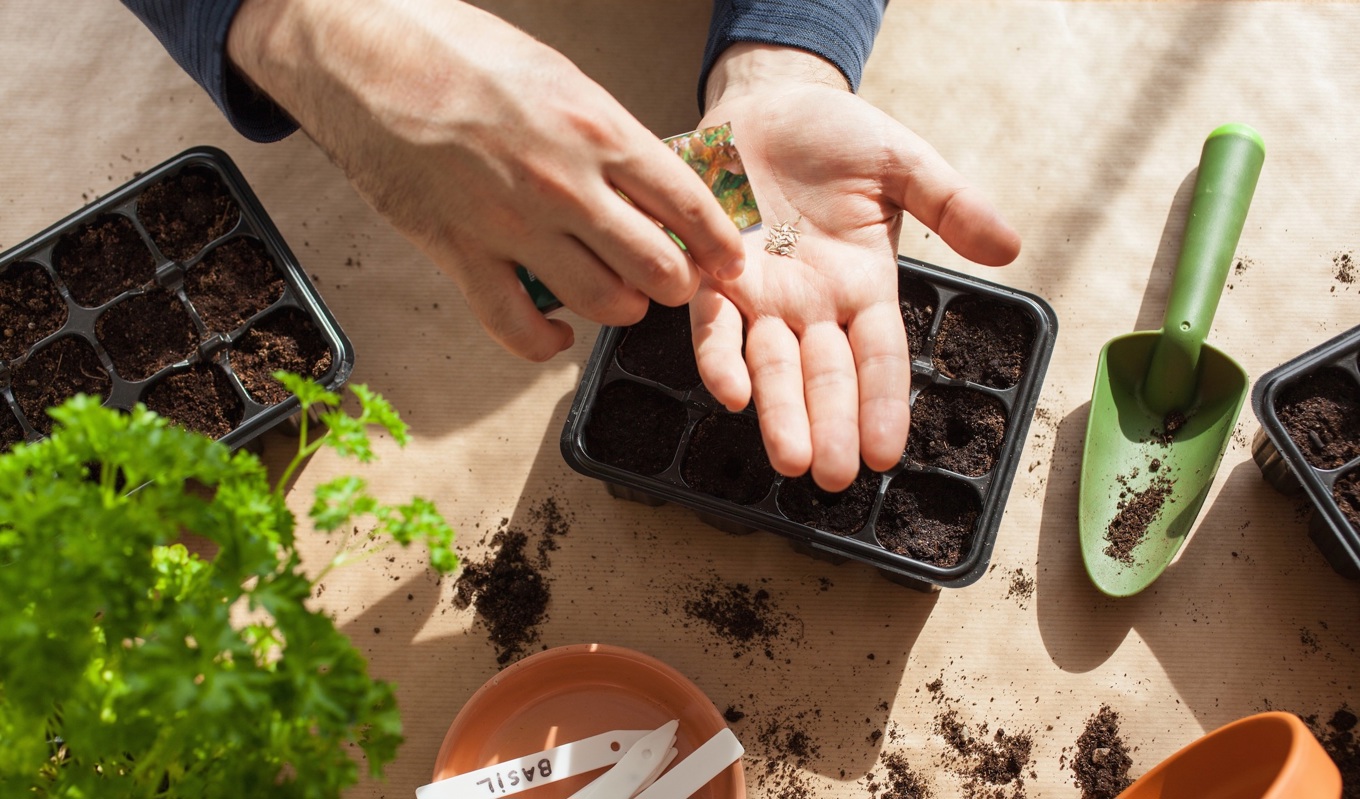 Att kunna klara sig själv ger en känsla av egenmakt och mening. Jag börjar med enklare odlingsprojekt och ser vart det leder mig. Foto: Olga Miltsova