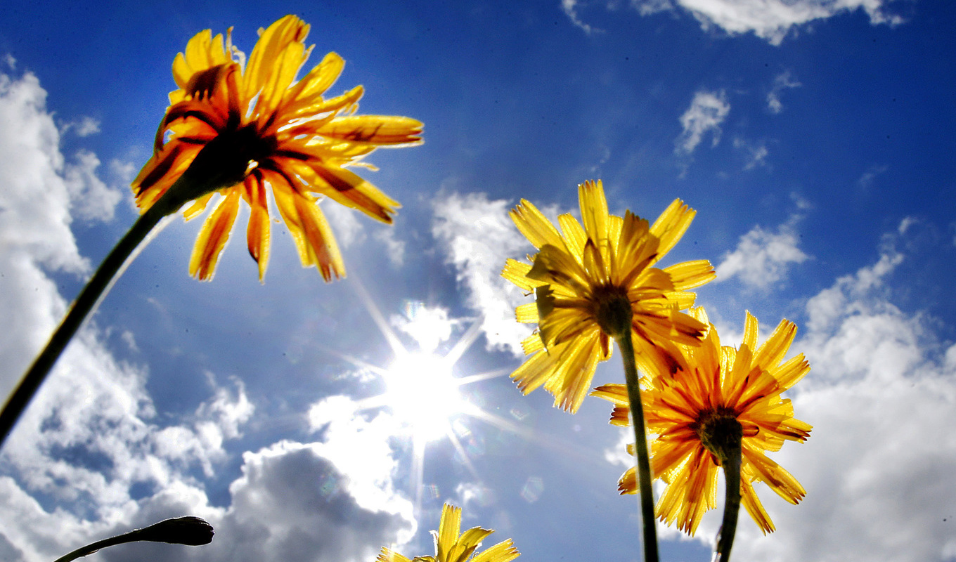 Från och med nu och sex månader framåt är dagarna längre än nätterna. Arkivbild. Foto: Michael Probst/AP/TT