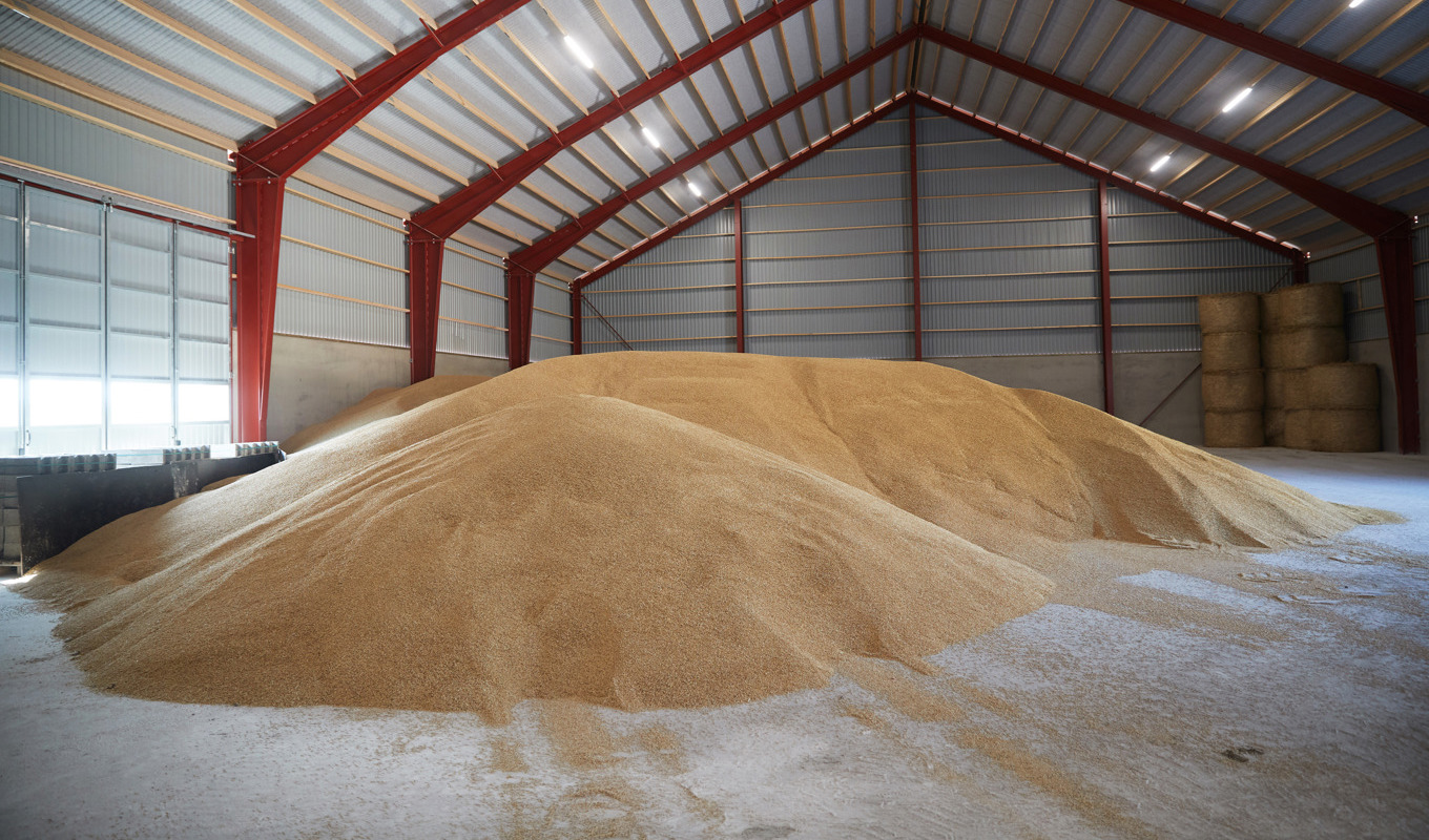 Flera av LRF:s medlemmar har hört av sig med frågor om utbetalat elstöd. Arkivbild. Foto: Andreas Hillergren/TT