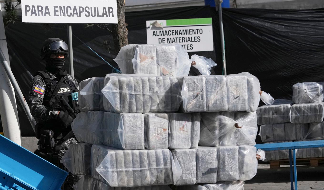 Delar av det stora fynd av kokain som gjordes i Ecuador i februari. Arkivbild. Foto: Dolores Ochoa/AP/TT