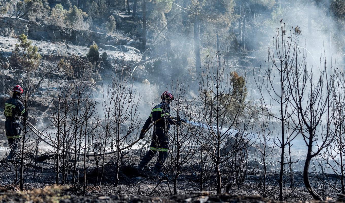 Brandmän släcker en skogsbrand i Fuente de la Reina nära Castellon den 29 mars 2023. Foto: Jose Jordan/AFP via Getty images.