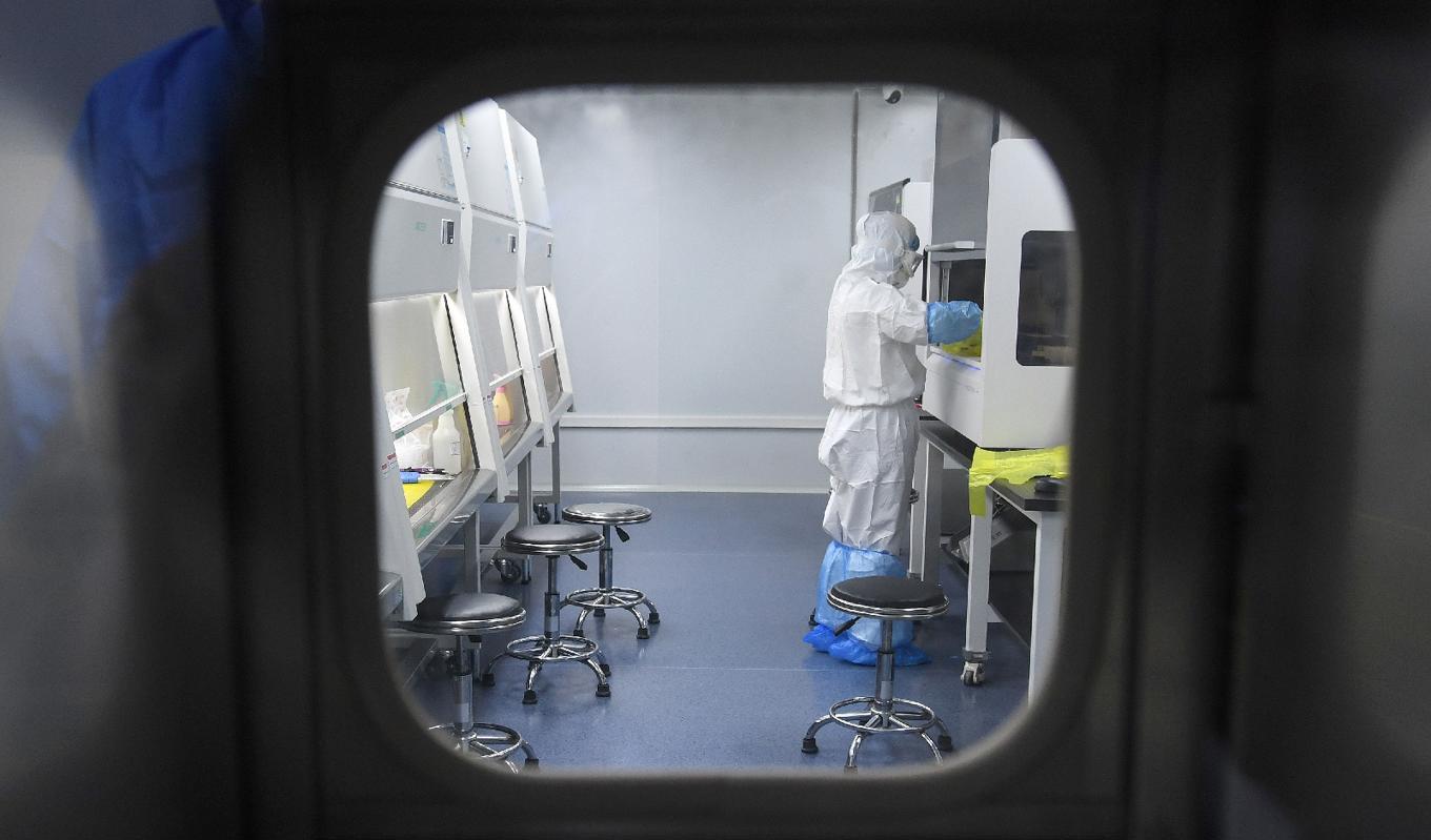 En laboratorietekniker arbetar med prover från personer som testas för det nya coronaviruset i Wuhan, Hubeiprovinsen i Kina, den 6 februari 2020. Foto: STR/AFP via Getty Images