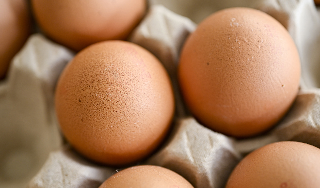 Ägg stoppas efter att salmonellabakterier hittats. Arkivbild. Foto: Johan Nilsson/TT