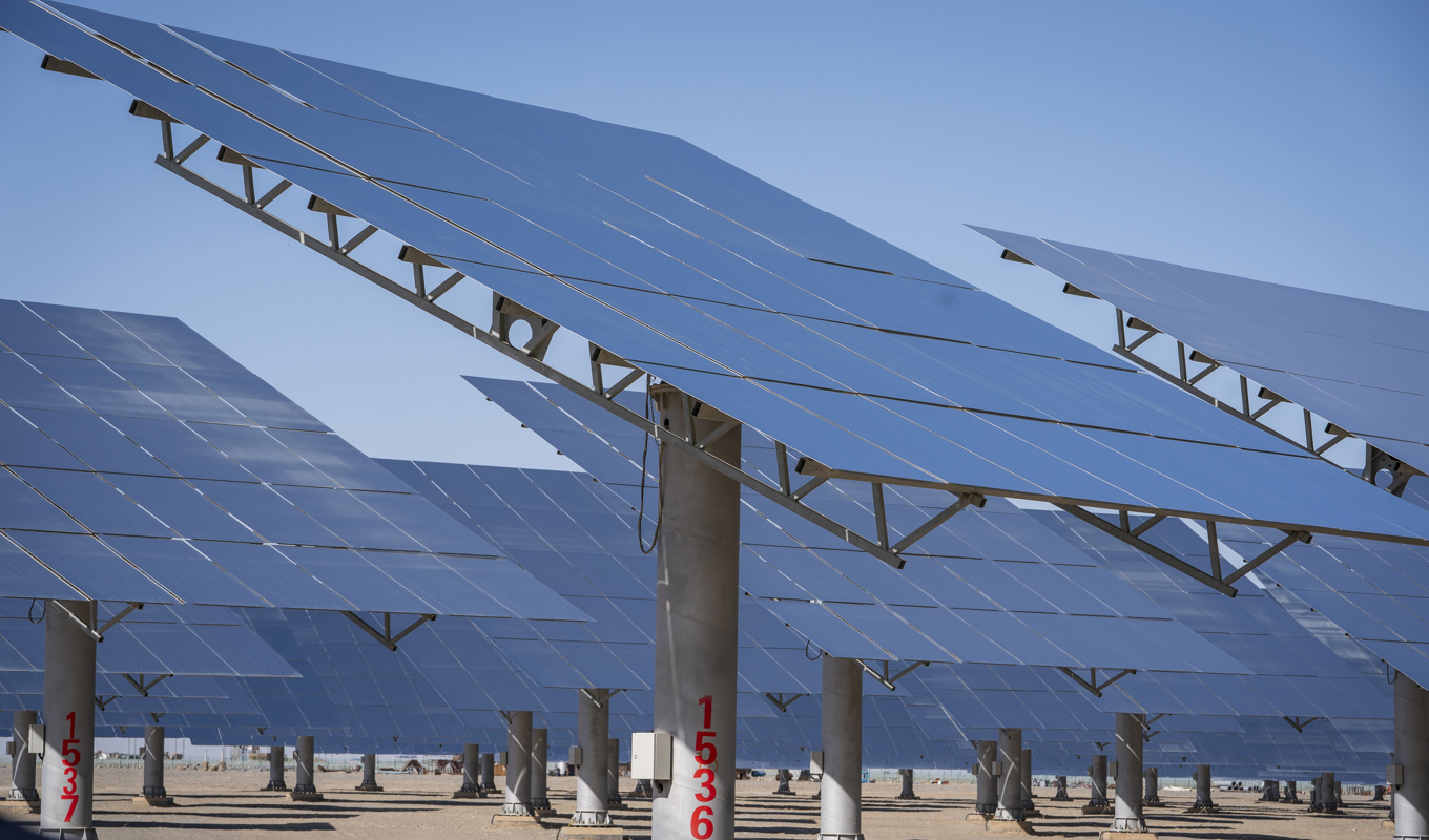 Det polska nätet klarar inte av all ny solel. Arkivbild. Foto: Heiko Junge/NTB/TT