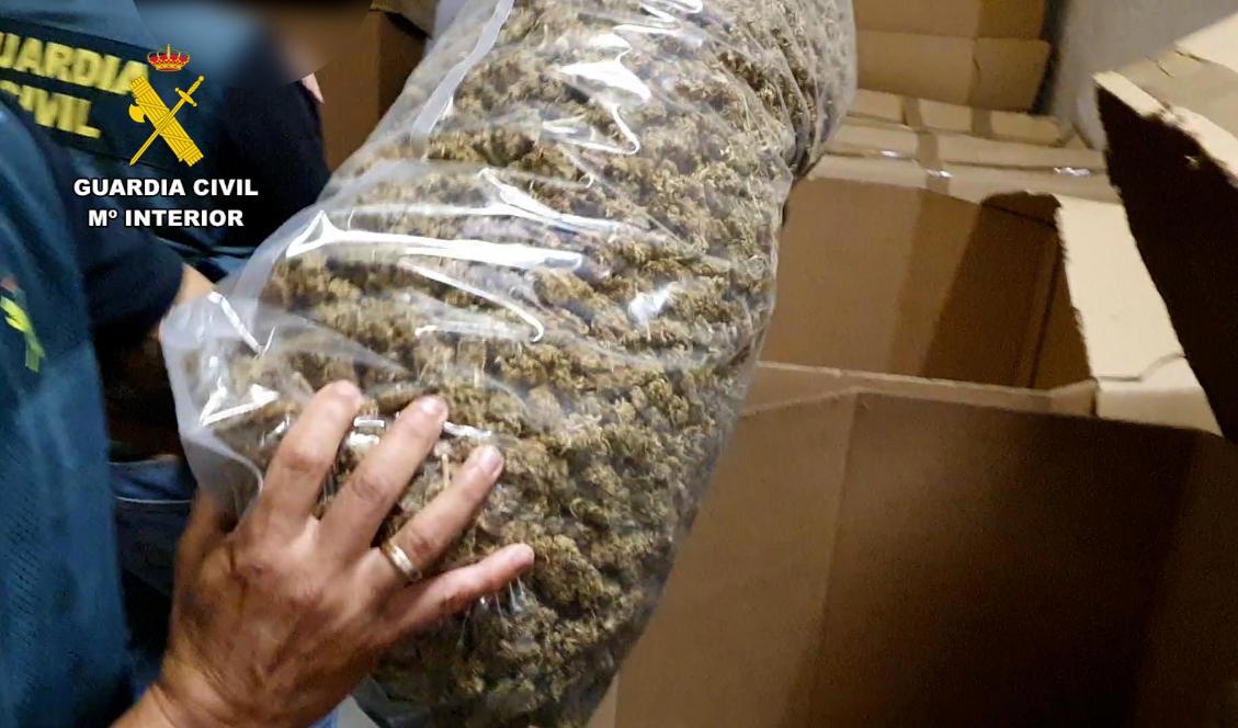 Polisen i Spanien och Sverige har beslagtagit över 700 kilo cannabis och marijuana i en samlad insats. Foto: Guardia Civil.