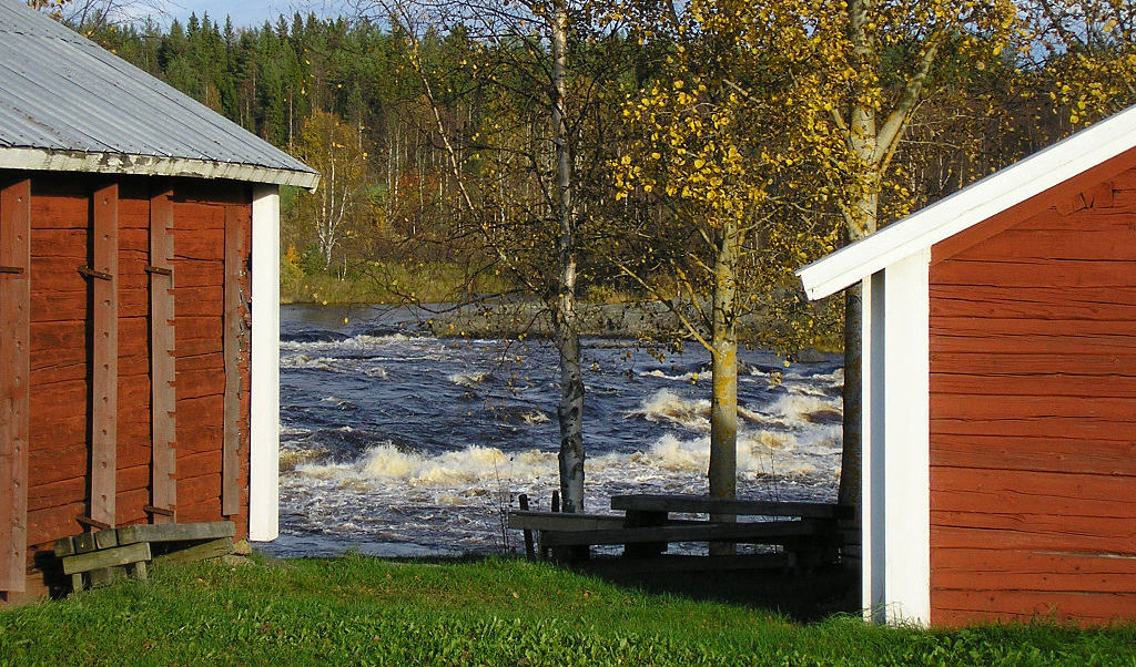 Cirka 80 hundar och tre hästar omhändertogs i en by i Tornedalen under måndagskvällen. Foto: Mestos (CC BY-SA 3.0)