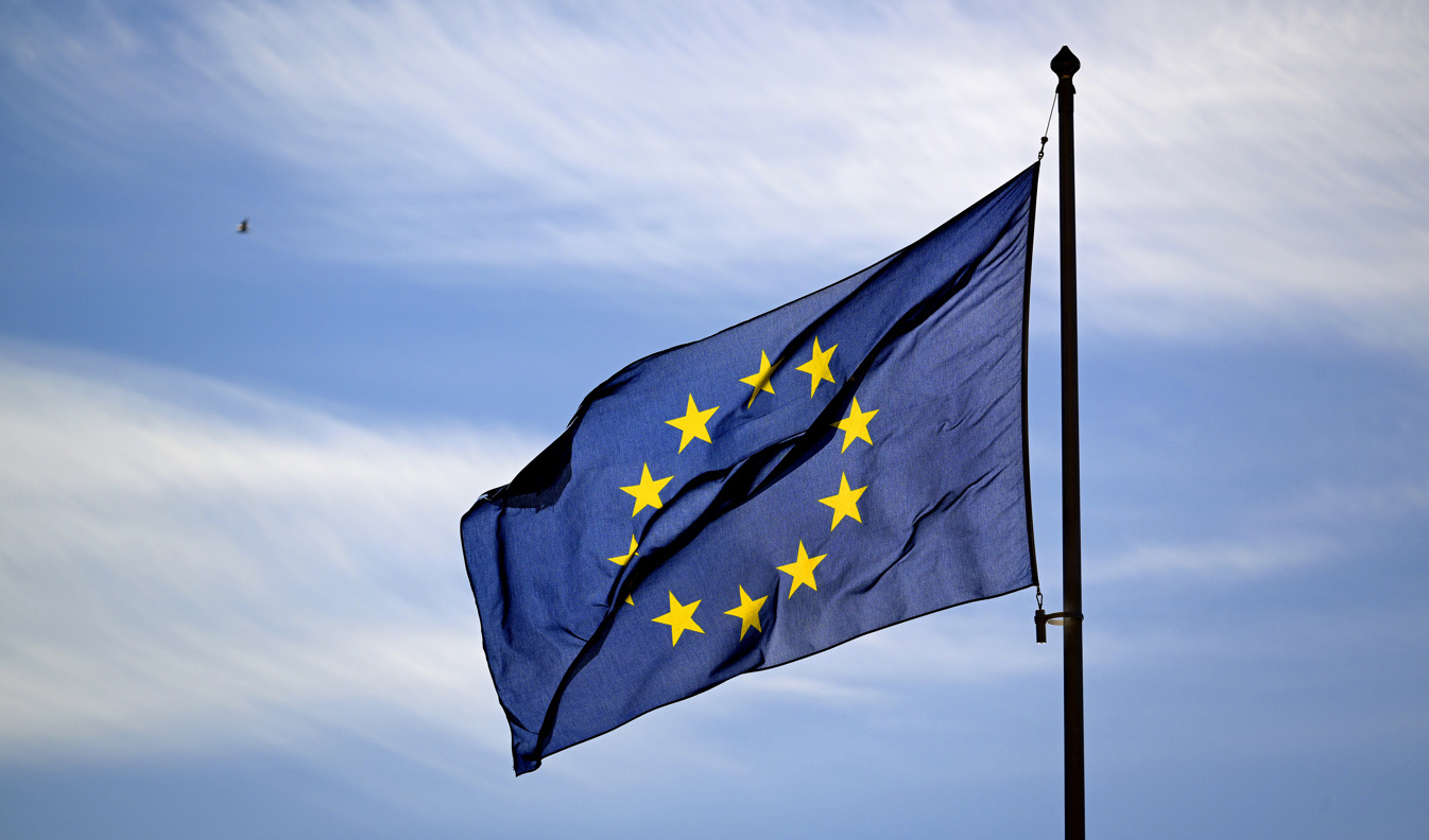 Sverigedemokraterna vill se ett "folkomröstningslås". Arkivbild. Foto: Janerik Henriksson/TT