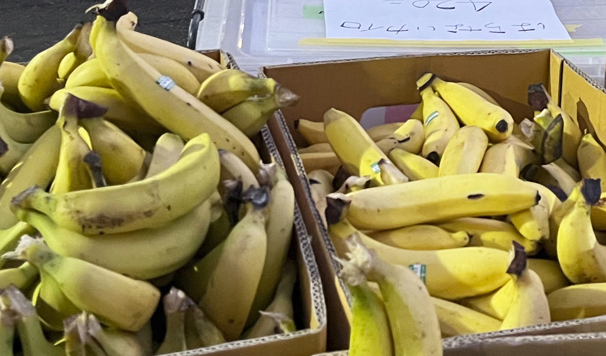 Nästan tre ton kokain hittades i en last bananer. Arkivbild. Foto: Yuri Kageyama/AP