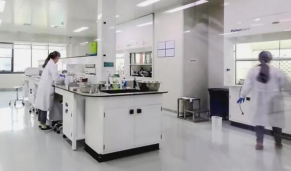 Testfakta har låtit göra en smak och näringsanalys av vegofärs. Resultatet visar att det behövs nya processmetoder för att näringen ska tas upp bättre av kroppen.Foto: Measurlabs