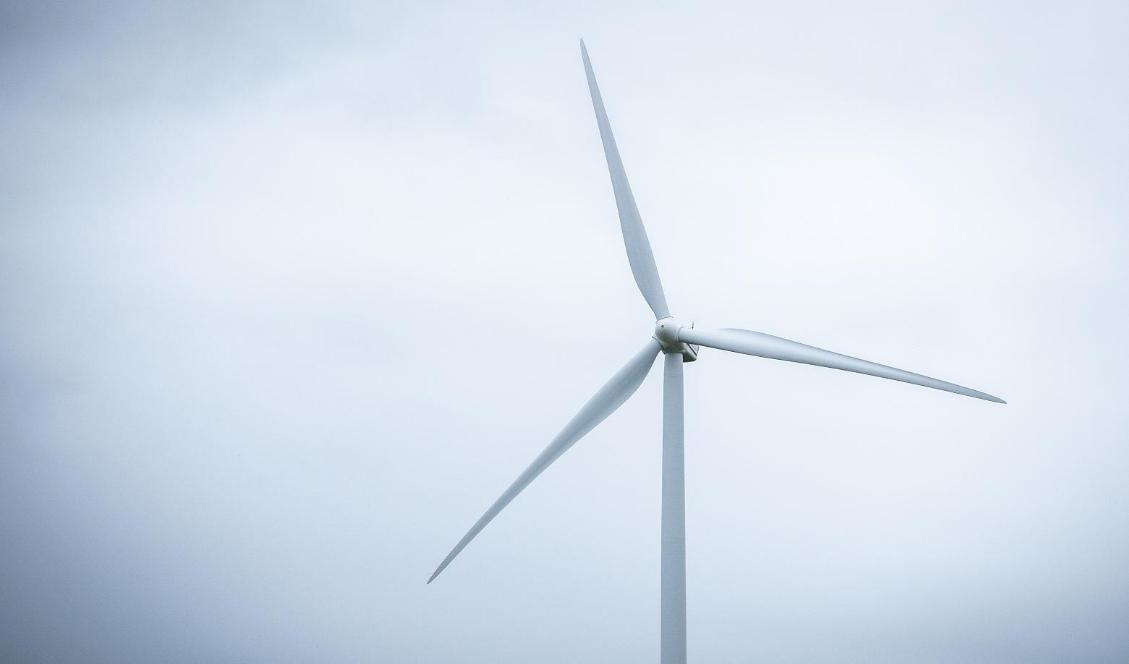 Ett vindkraftverk brann natten mot torsdagen i Ystad i Skåne. Foto: Bilbo Lantto