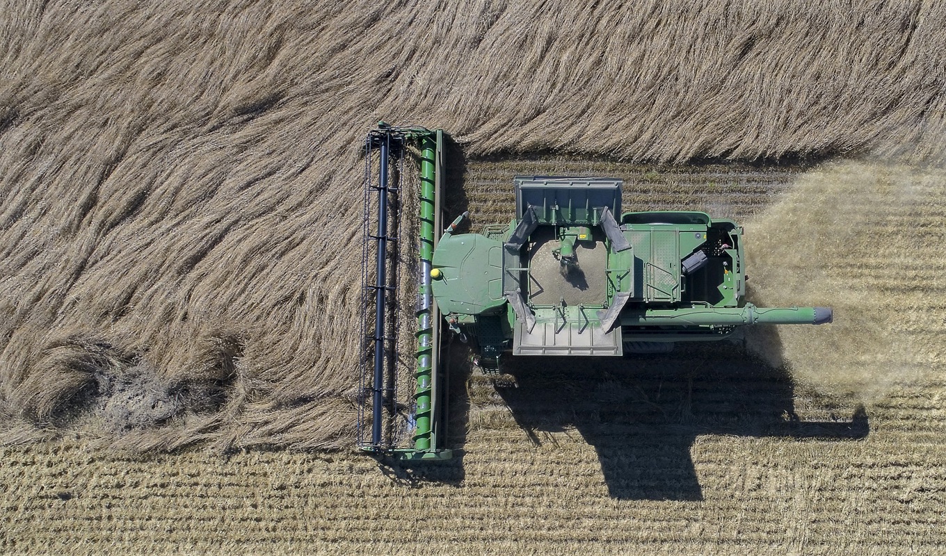 Jordbruksverket ansvarar för livsmedelsproduktionen i händelse av kris eller krig. Arkivbild. Foto: Jonas Ekströmer/TT