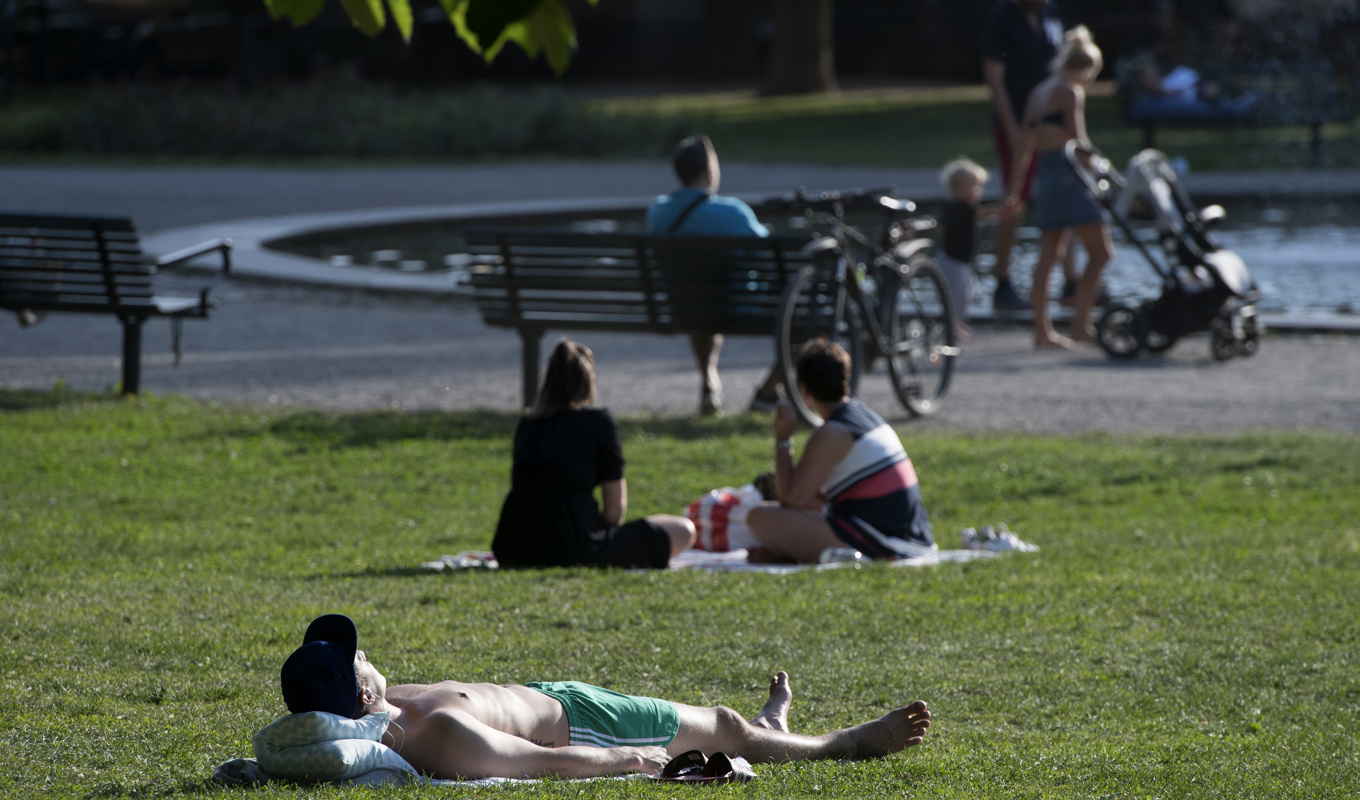 Regeringen uppmanar kommunerna att se över sin beredskap inför framtida värmeböljor. Arkivbild. Foto: Anders Wiklund/TT
