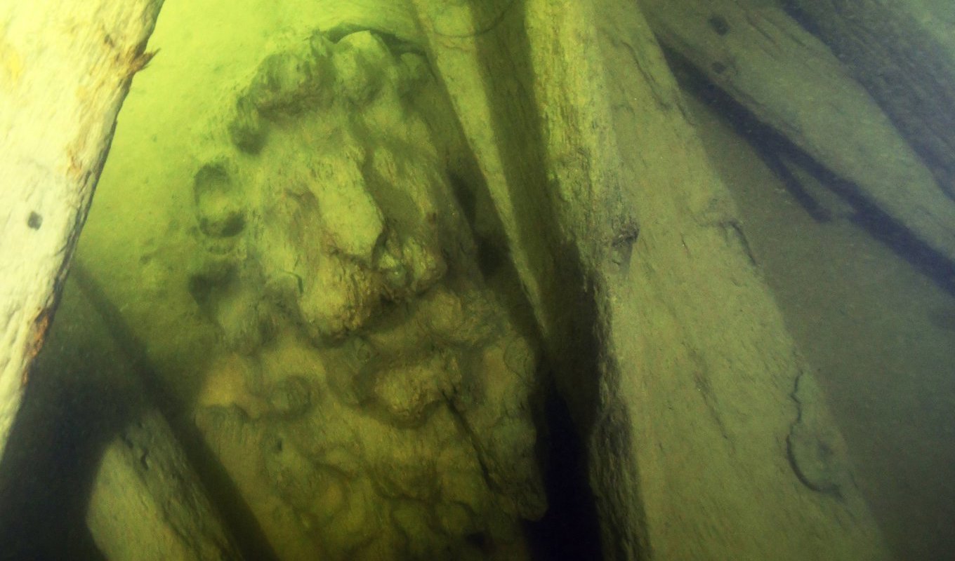 En lejonskulptur som överraskande finns kvar på vraket efter regalskeppet Äpplet som sänktes med vilje 1659. Foto: Jim Hansson/Vrak