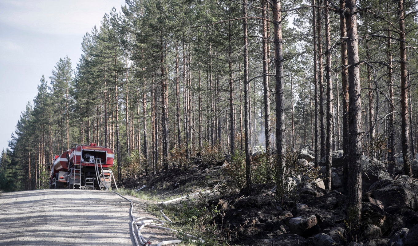 Branden startade längs järnvägsspåret norr om Tallåsen i Ljusdals kommun i onsdags eftermiddag. Bilden är tagen i torsdags. Foto: Mats Andersson/TT