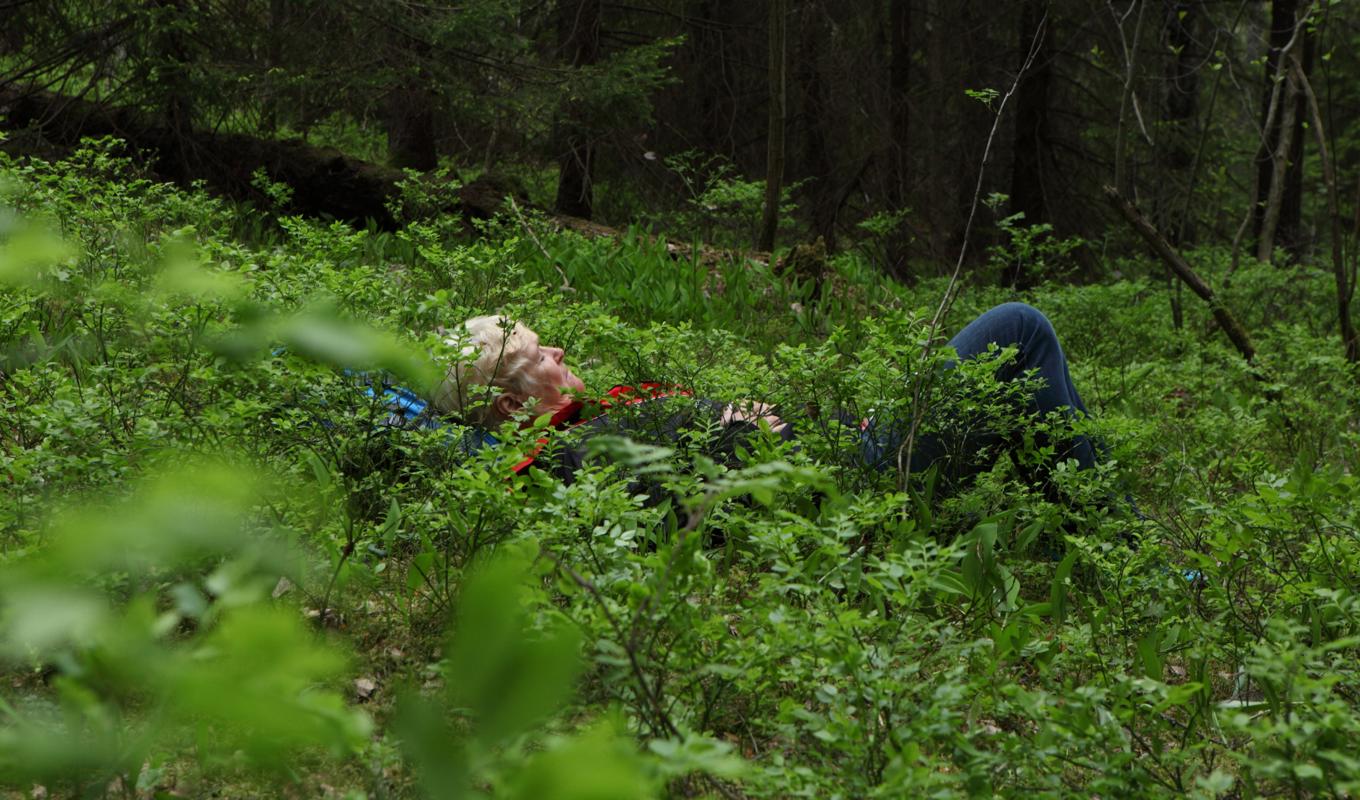 Att stubbsitta handlar inte främst om att sitta på en stubbe utan om att på olika sätt vara stilla i naturen. Det är den avsiktslösa naturupplevelsen som ger effekt. Foto: Ulf Lysholm