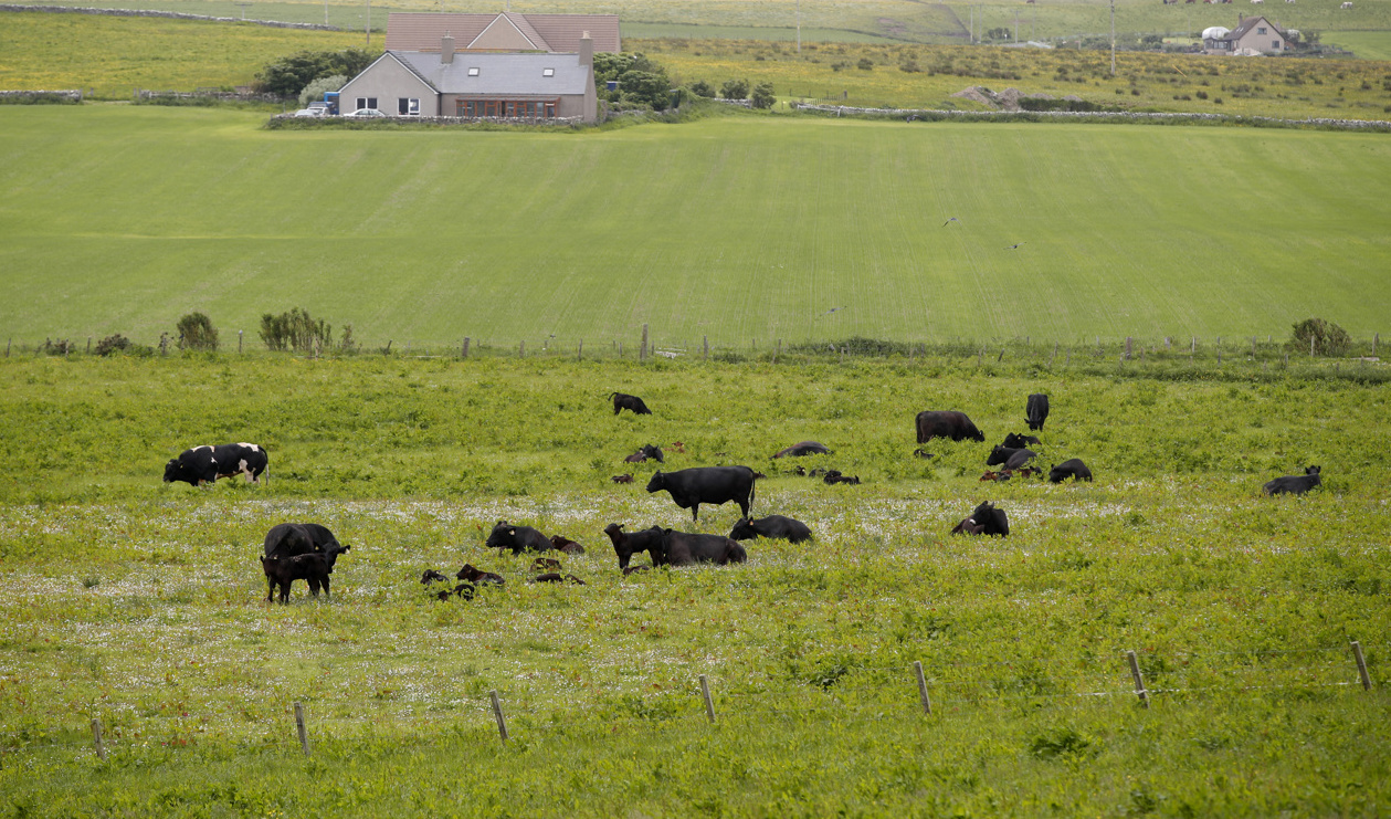 Utsikt vid Kirkwall, Orkneyöarnas residensstad. Arkivbild. Foto: Lise Åserud/NTB/TT