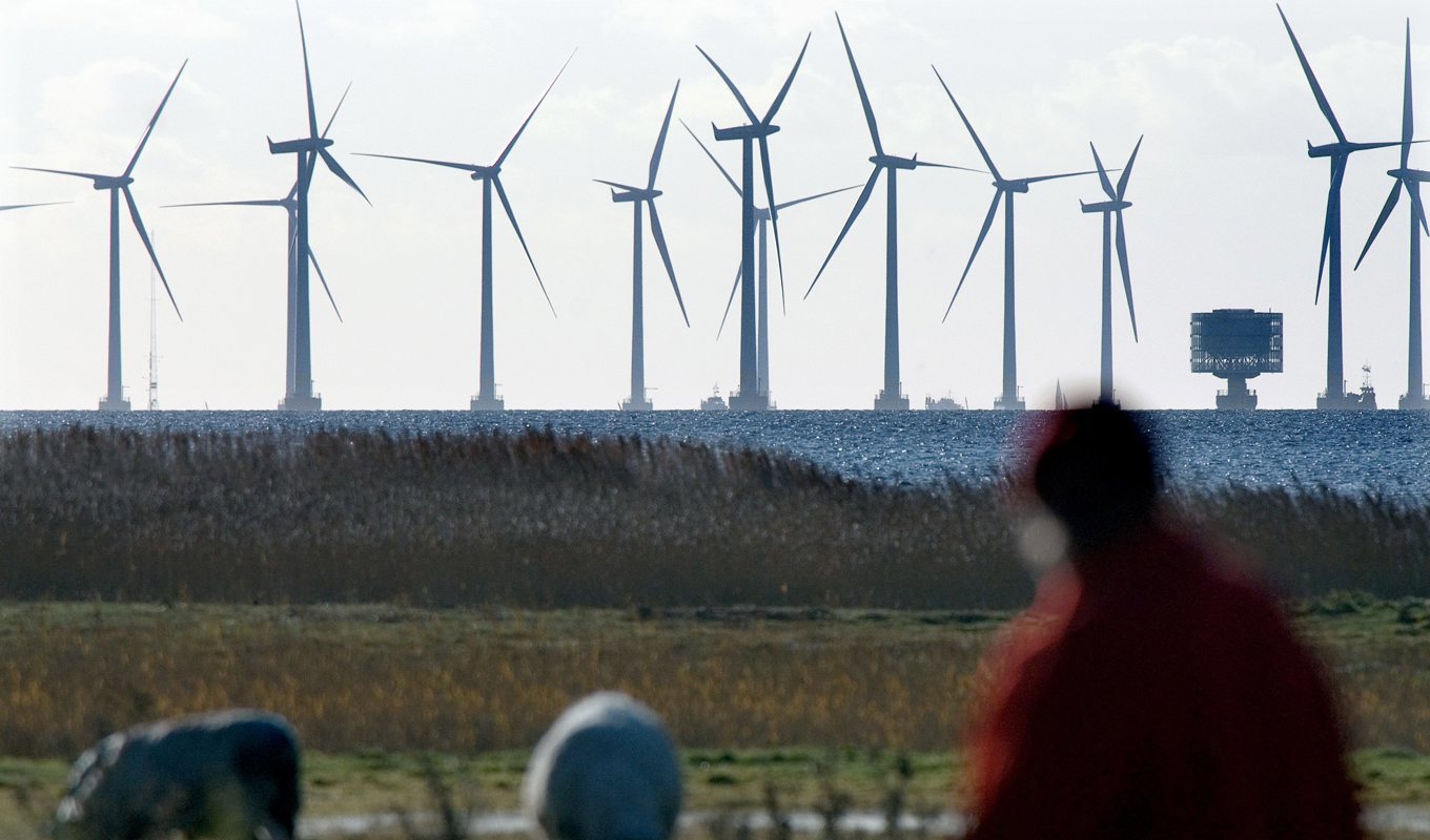 Regeringen säger nej till vindkraftsparken Stora Middelgrund. Arkivbild. Foto: Johan Nilsson/TT