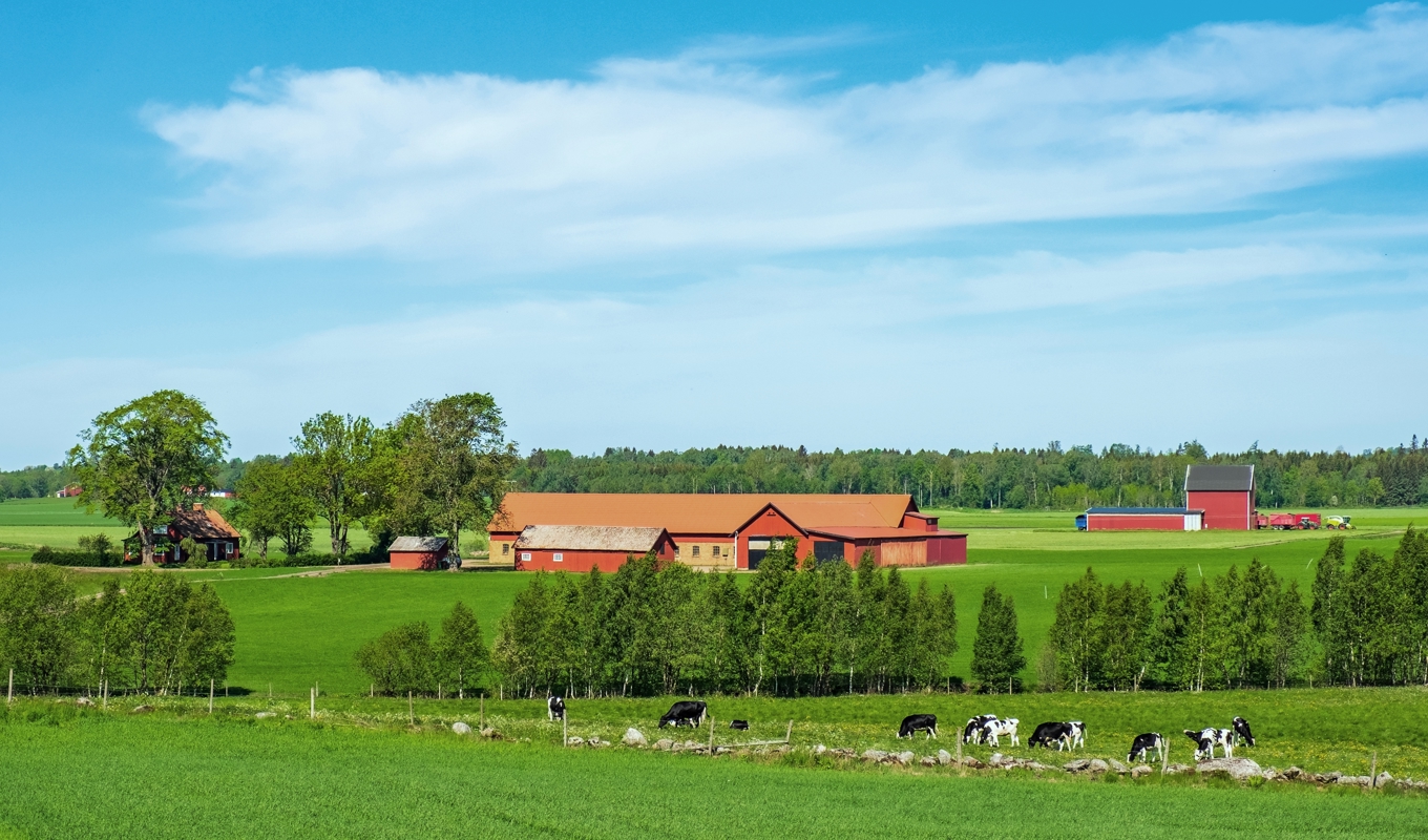 Regeringen vill underlätta för dem som vill driva lantbruk att köpa en gård. Foto: Lasse Johansson