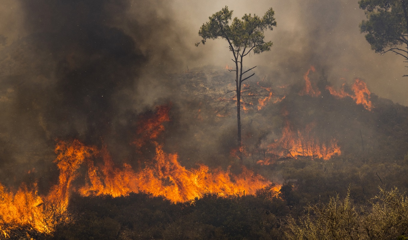 En brand i Apollana i Rhodos i Grekland den 27 juli. Foto: Dan Kitwood/Getty Images