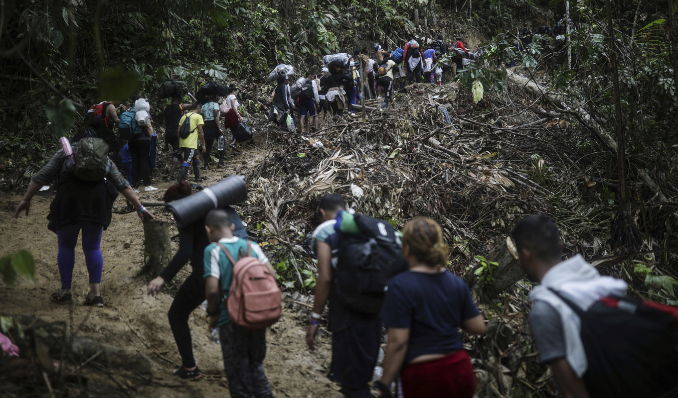 Hundratusentals migranter tar sig igenom den farliga djungelleden i hopp om att nå USA. Foto: Ivan Valencia/AP/TT