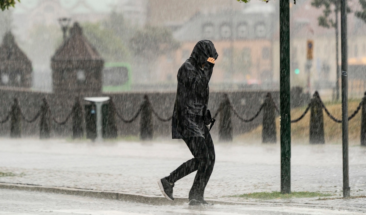Det varnas för rejäla regnmängder i större delen av landet. Foto: Johan Nilsson/TT