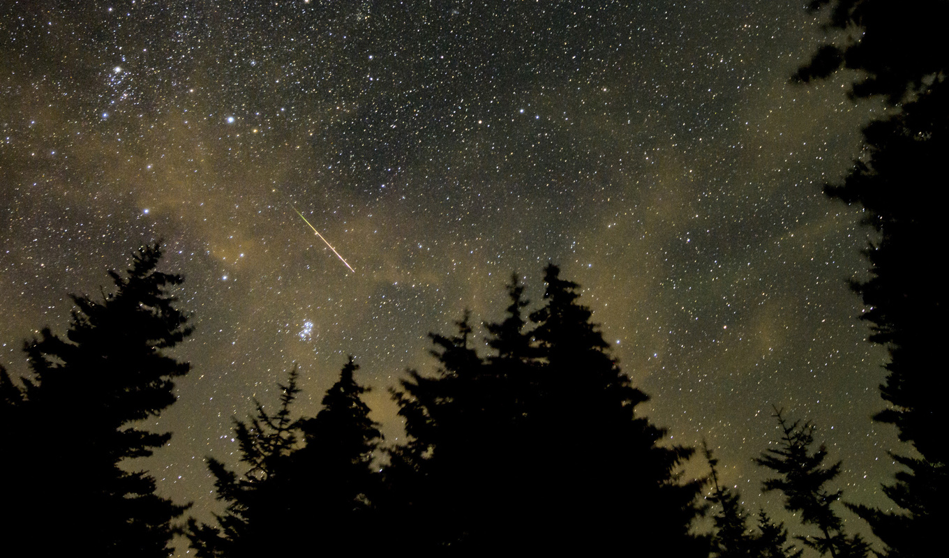 Meteorsvärmen Perseiderna fångad på bild i West Virginia, USA, i augusti 2021. Foto: Bill Ingalls/Nasa via AP/TT