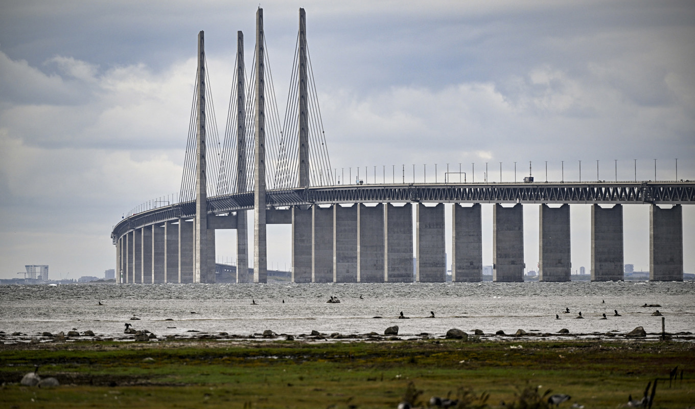 Öresundsbron, som många korsar för att importera och exportera olika tjänster. Arkivbild. Foto: Johan Nilsson/TT