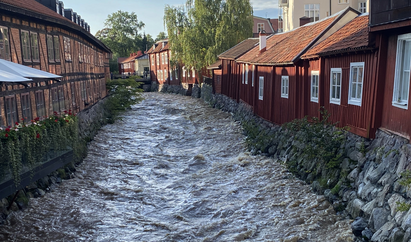 Efter kraftigt regn är vattenståndet i Svartån i centrala Västerås ovanligt högt. Foto: Boel Holm /TT