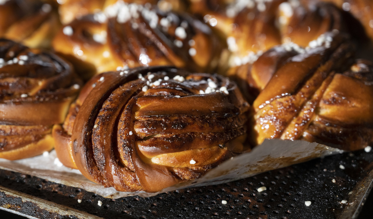 Får inget skydd. Arkivbild Foto: Henrik Montgomery/TT