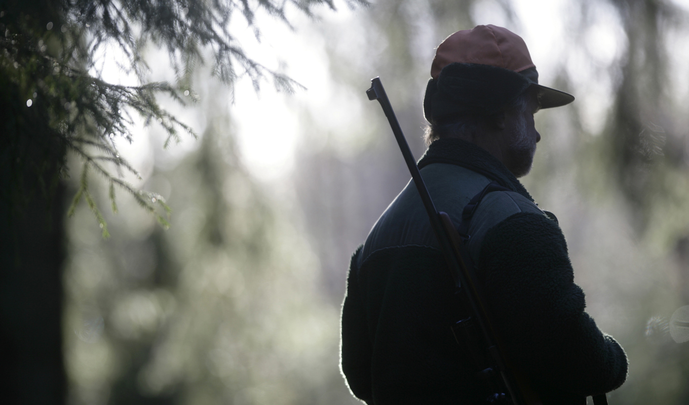 Det blir ingen jakt på älg eller rådjur i området i Västmanland. Arkivbild. Foto: Fredrik Sandberg/TT