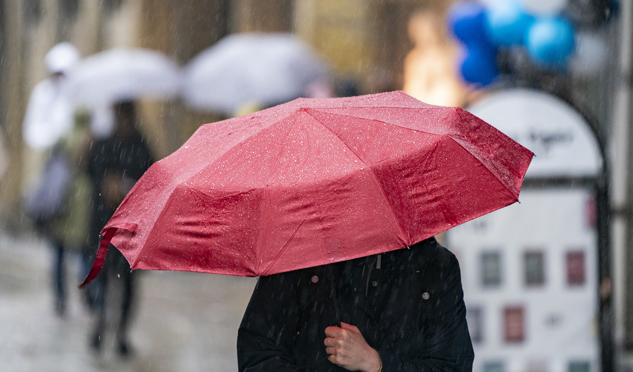 På onsdag väntas kraftiga regnskurar på flera ställen i Sverige. Arkivbild. Foto: Johan Nilsson/TT