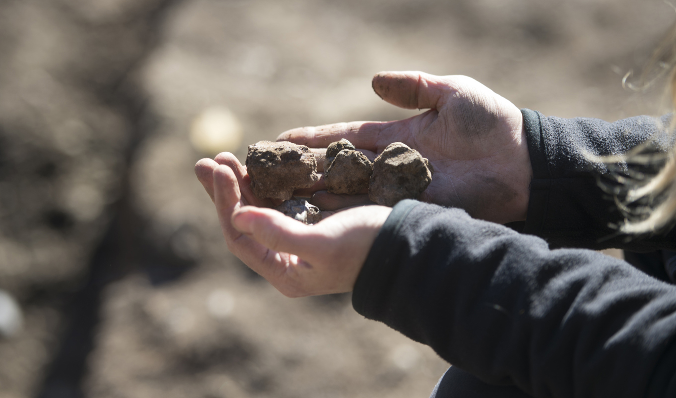 Arkeologer har grävt fram vad som tros vara en 2|000 år gammal hamn på Gotska Sandön. Arkivbild. Foto: Fredrik Sandberg/TT