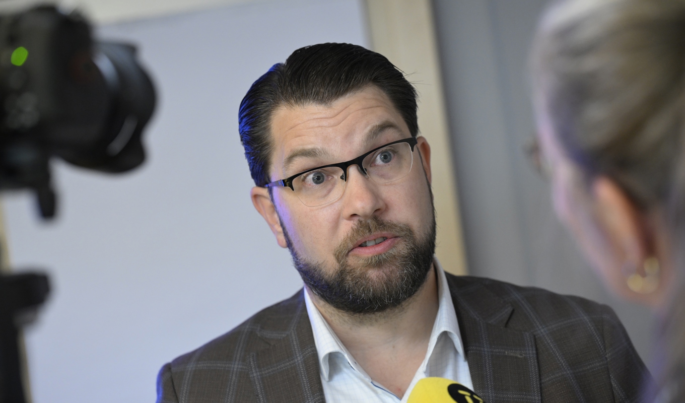 Gängvåldet är ”100 procent” migrationens fel, enligt SD-ledaren. Foto: Johan Nilsson/TT