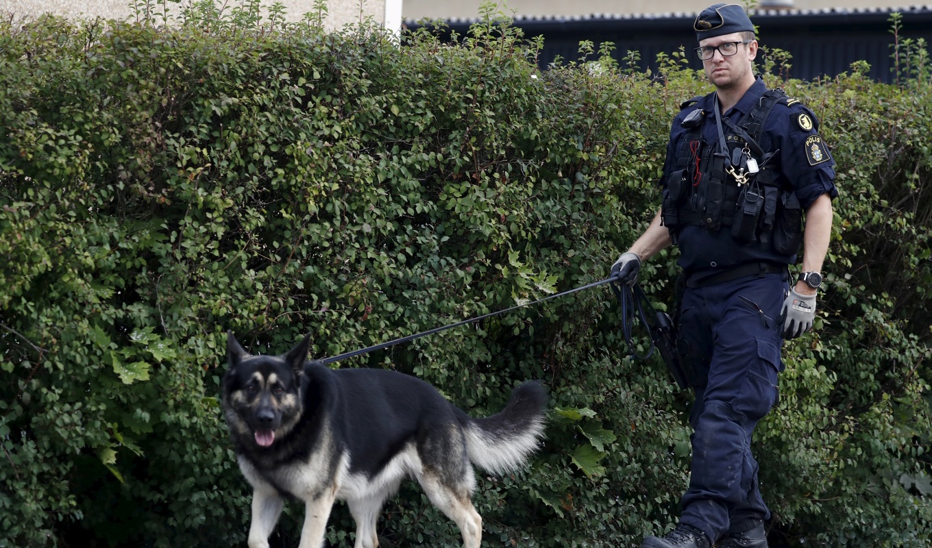 Polis arbetar efter att en person skjutits i Uppsala i förra veckan. Foto: Mickan Palmqvist/TT