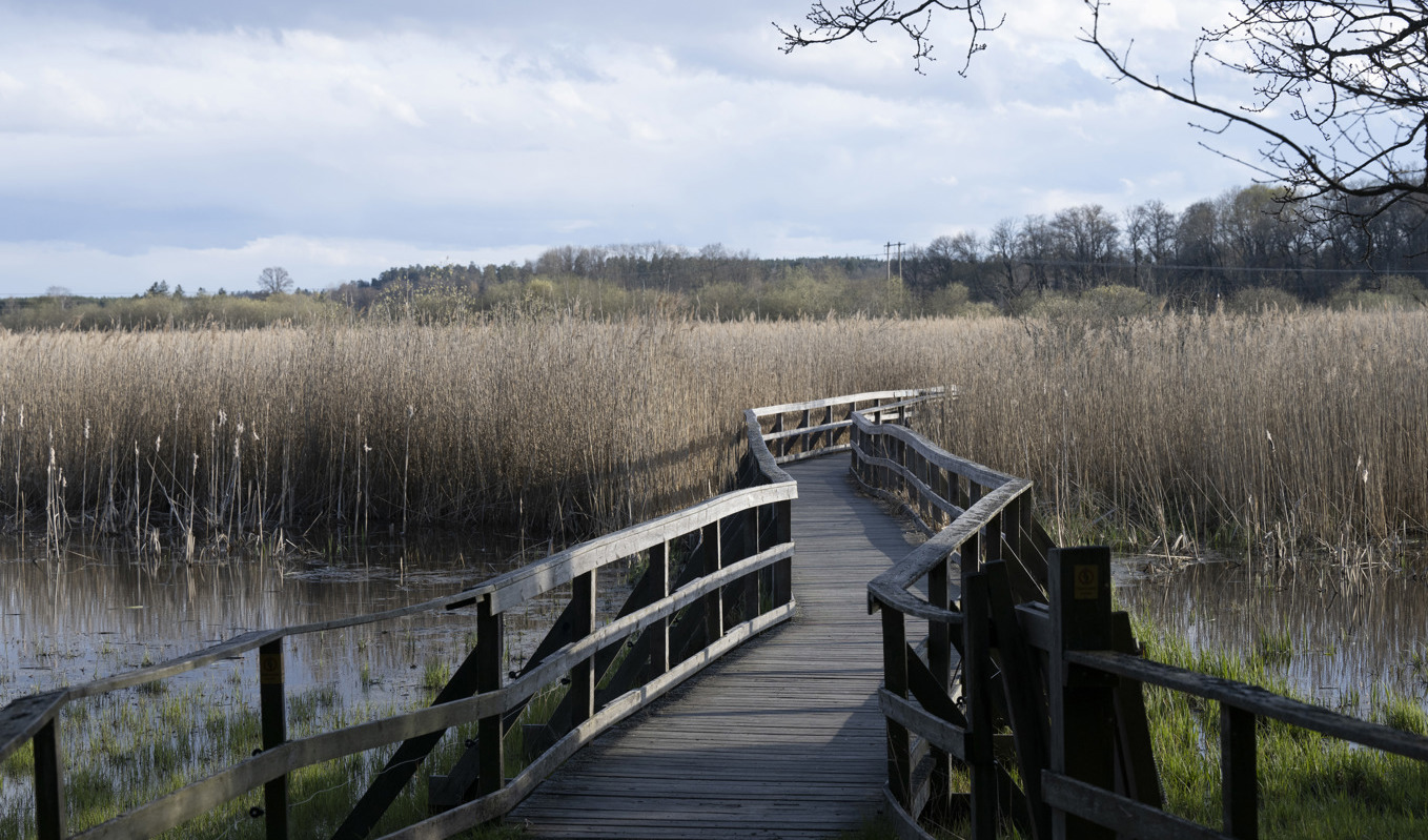 I april hittades en 26-årig taxichaufför död i ett naturområde i Enköping. Arkivbild. Foto: Fredrik Sandberg/TT